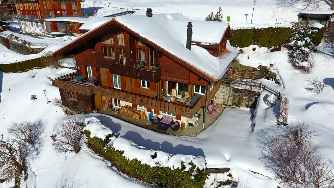 Chalet Protea Wengen Ngoại thất bức ảnh