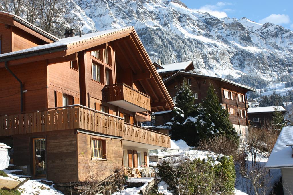 Chalet Protea Wengen Ngoại thất bức ảnh