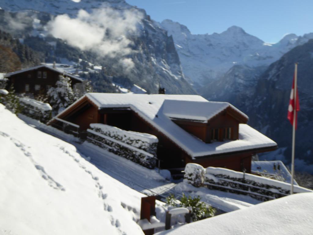 Chalet Protea Wengen Ngoại thất bức ảnh